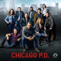 Chicago PD, Season 3 cast, spoilers, episodes, reviews