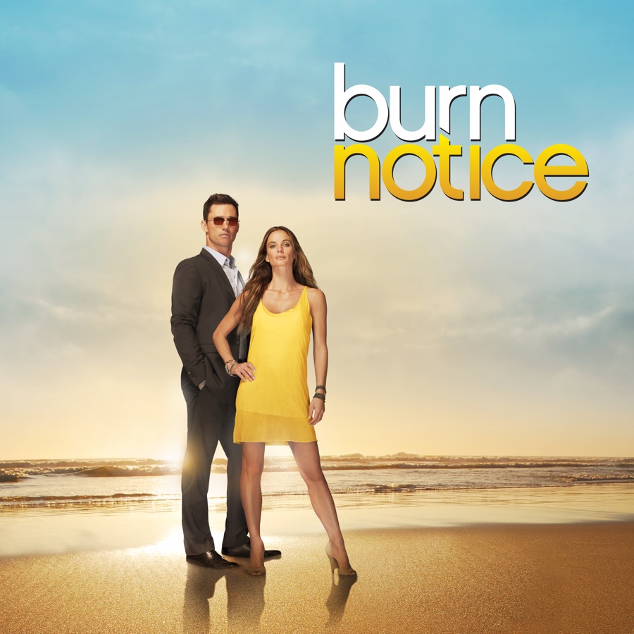 burn notice cast season 3 episode 16 actor who plays simon