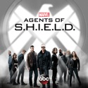 Marvel's Agents of S.H.I.E.L.D., Season 3 watch, hd download