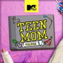 Teen Mom, Vol. 1 cast, spoilers, episodes, reviews