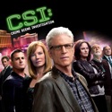 CSI: Crime Scene Investigation, Season 12 cast, spoilers, episodes, reviews