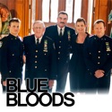 Blue Bloods, Season 2 cast, spoilers, episodes, reviews