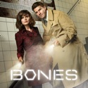 Bones, Season 7 watch, hd download