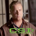CSI: Crime Scene Investigation, Season 8 tv series