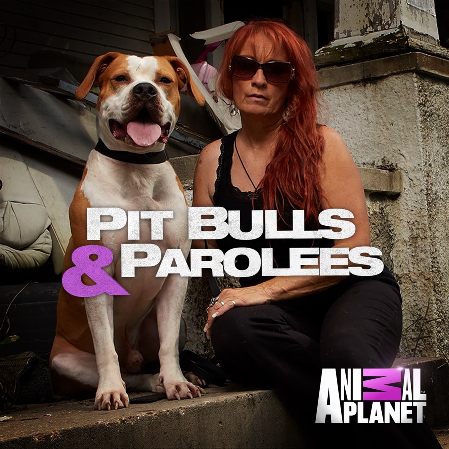 Pit Bulls and Parolees, Season 9 release date, trailers, cast, synopsis