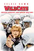Wildcats summary, synopsis, reviews