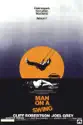 Man On a Swing summary and reviews
