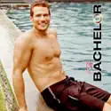 The Bachelor, Season 15 watch, hd download