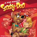 A Pup Named Scooby-Doo, Season 2 cast, spoilers, episodes and reviews