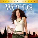 Weeds, Season 7 watch, hd download