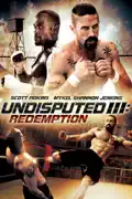 Undisputed III: Redemption summary, synopsis, reviews
