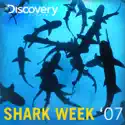 Shark Week, 2007 cast, spoilers, episodes, reviews
