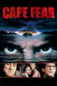 Cape Fear (1991) summary and reviews
