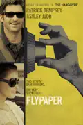 Flypaper summary, synopsis, reviews