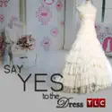 Say Yes to the Dress, Season 4 watch, hd download