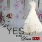 Say Yes to the Dress, Season 4