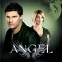 Angel, Season 4