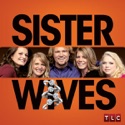Carving Into Polygamy (Sister Wives) recap, spoilers