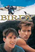 Birdy (1984) summary, synopsis, reviews
