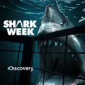 Shark Week, 2011 watch, hd download