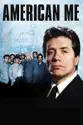 American Me summary and reviews