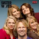 Sister Wives, Season 3 cast, spoilers, episodes, reviews