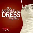Say Yes to the Dress, Big Bliss: Season 3 watch, hd download