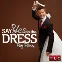 Say Yes to the Dress, Big Bliss: Season 1 watch, hd download