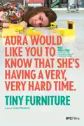 Tiny Furniture summary, synopsis, reviews
