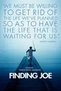 Finding Joe summary, synopsis, reviews