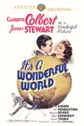 It's a Wonderful World summary, synopsis, reviews