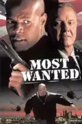 Most Wanted summary, synopsis, reviews