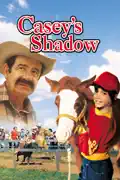 Casey's Shadow summary, synopsis, reviews