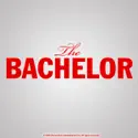 The Bachelor, Season 13 watch, hd download
