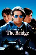 Crossing the Bridge summary, synopsis, reviews