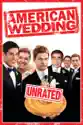 American Wedding (Unrated) summary and reviews