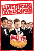 American Wedding (Unrated) summary, synopsis, reviews