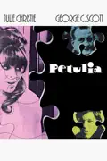 Petulia summary, synopsis, reviews