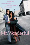Mr. Wonderful summary, synopsis, reviews