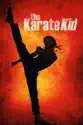 The Karate Kid (2010) summary and reviews