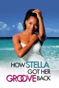 How Stella Got Her Groove Back summary, synopsis, reviews