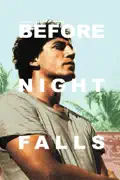 Before Night Falls summary, synopsis, reviews