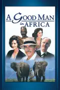 A Good Man In Africa summary, synopsis, reviews