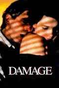 Damage summary, synopsis, reviews