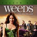 Weeds, Season 6 cast, spoilers, episodes, reviews