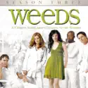 Weeds, Season 3 cast, spoilers, episodes and reviews