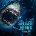 Shark Week, 2009 cast, spoilers, episodes, reviews
