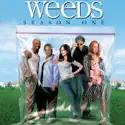 Weeds, Season 1 watch, hd download