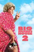 Big Momma's House 2 summary, synopsis, reviews