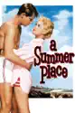 A Summer Place summary and reviews